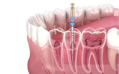 dr dalia shunnaq dental clinic